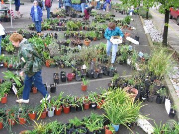 Plant_Sale-02.jpg